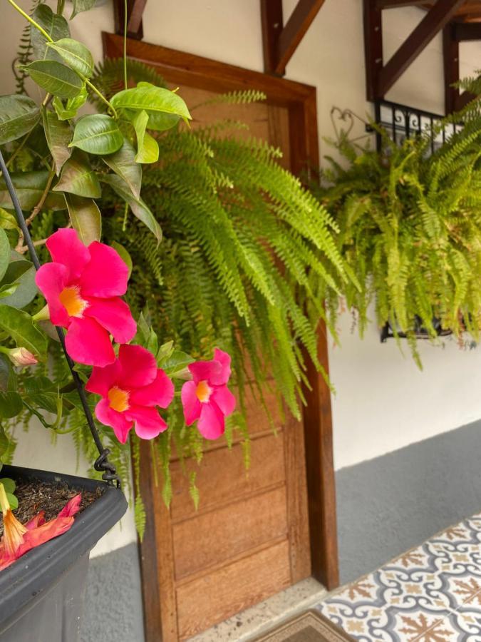 Estudio Completo No Centro De Domingos Martins Ao Lado Da Rua Do Lazer! Apartment ภายนอก รูปภาพ